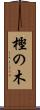 樫の木 Scroll