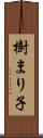 樹まり子 Scroll