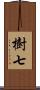 樹七 Scroll
