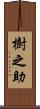 樹之助 Scroll