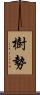 樹勢 Scroll