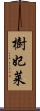樹妃莱 Scroll