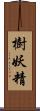 樹妖精 Scroll
