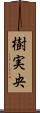 樹実央 Scroll