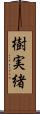 樹実緒 Scroll