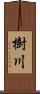 樹川 Scroll