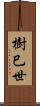 樹巳世 Scroll