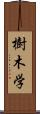 樹木学 Scroll