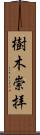 樹木崇拝 Scroll
