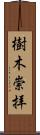 樹木崇拝 Scroll