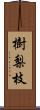 樹梨枝 Scroll