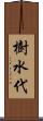 樹水代 Scroll