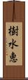 樹水恵 Scroll