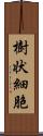 樹状細胞 Scroll