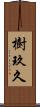 樹玖久 Scroll
