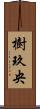 樹玖央 Scroll