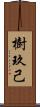 樹玖己 Scroll