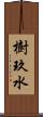 樹玖水 Scroll