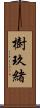 樹玖緒 Scroll