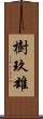 樹玖雄 Scroll