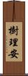 樹理安 Scroll