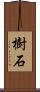 樹石 Scroll