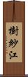 樹紗江 Scroll