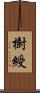 樹綬 Scroll