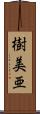 樹美亜 Scroll