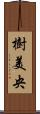 樹美央 Scroll