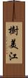 樹美江 Scroll
