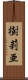 樹莉亜 Scroll