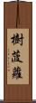 樹菠蘿 Scroll