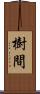 樹間 Scroll