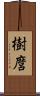 樹麿 Scroll