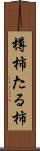 樽柿 Scroll