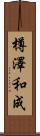 樽澤和成 Scroll