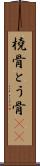 橈骨 Scroll