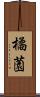 橘薗 Scroll