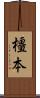 橿本 Scroll