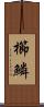櫛鱗 Scroll