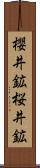 櫻井鉱 Scroll