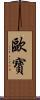 歐寶 Scroll