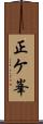 正ケ峯 Scroll