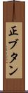 正ブタン Scroll