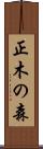 正木の森 Scroll