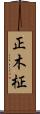 正木 Scroll