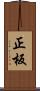 正板 Scroll