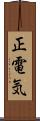 正電気 Scroll