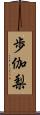 歩伽梨 Scroll